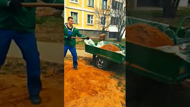 Дворник от бога !!