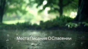 места Писания о Спасении