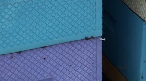 Пасека под навесом