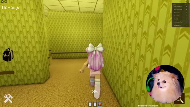 ШРЕК БЕЖИТ ЗА МНОЙ В РОБЛОКС! ШРЕК ЧТО С ТОБОЙ СТАЛО В РОБЛОКС ? | ROBLOX смотреть онлайн