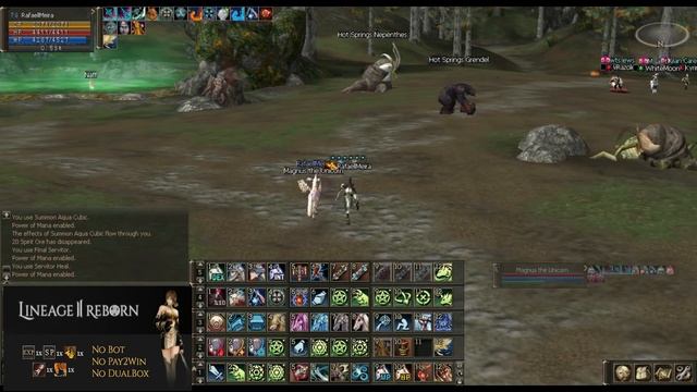 Lineage 2 Reborn 1x - Elemental Master PVP смотреть онлайн
