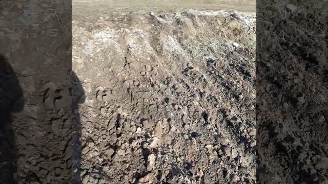 Отзыв о плуге виракс 2-25 смотреть онлайн