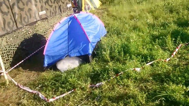 Грушинский фестиваль 🎋 индейцев смотреть онлайн