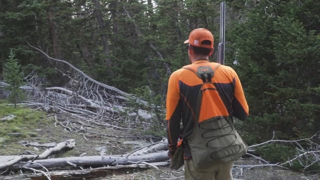 Blue Grouse, Wyoming Day 1: The Journey Within - A Bird Hunter's Diary | Mark V Peterson смотреть онлайн