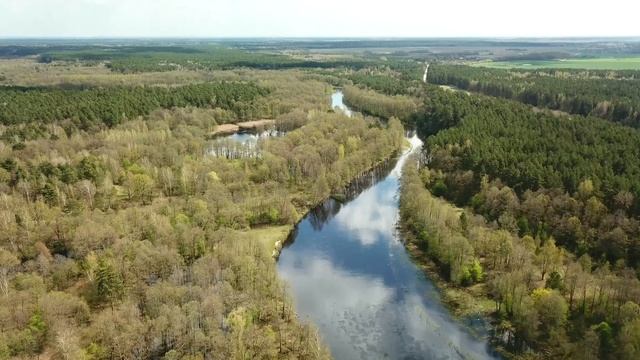 р.Щара. близ д.Короли. Мостовской р-н. Гродненской обл смотреть онлайн