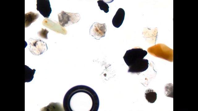 Apatite - heavy mineral strewn slide смотреть онлайн