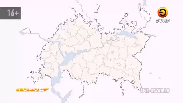 Птичий грипп из Лаишево добрался до Казани смотреть онлайн