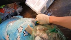 Как я зарабатываю лазая по мусоркам Питера / Dumpster Diving RUSSIA #1