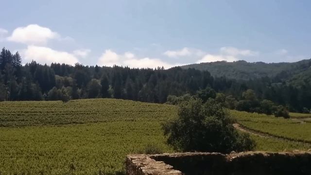 Камни Подсознания