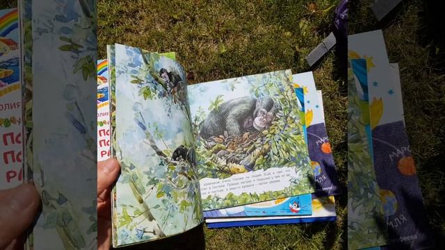 Читай-наблюдай. Серия книг от издательства Качели смотреть онлайн