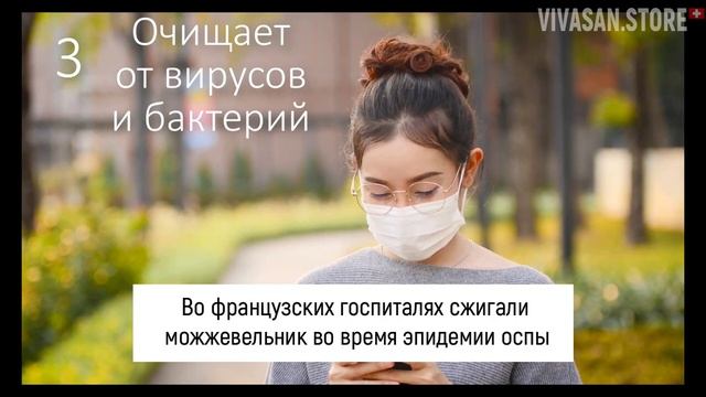 5 потрясающих фактов о можжевельнике и где его взять в мегаполисе смотреть онлайн