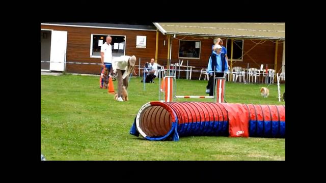 Zenzi VRAS 01-09-2013 смотреть онлайн