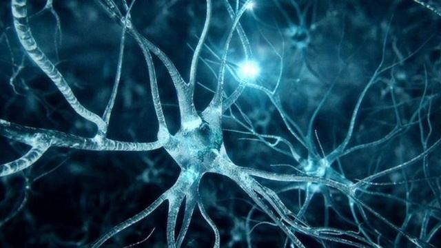 Откажитесь от всего, что вам нужно, чтобы вы всегда были правы. смотреть онлайн