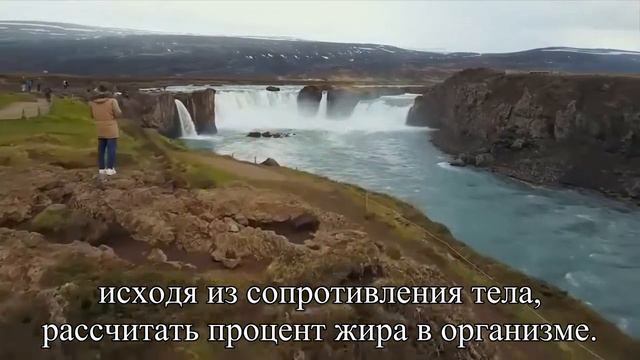 Измерение процента жира в организме в домашних условиях нужно или нет — Статья смотреть онлайн