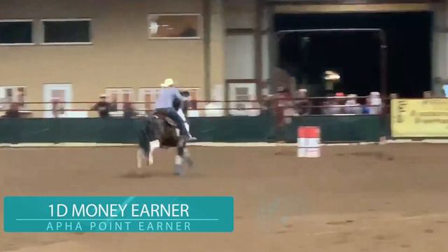 Dash Ta Magnolia - APHA Bay Stallion by Dash Ta Fame смотреть онлайн