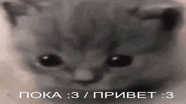 STALCRAFT | Ку) смотреть онлайн