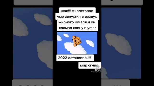 фиолетовый пашмак запустил шмеля и он сломал спину