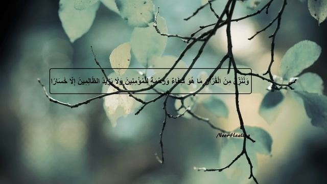 Powerful Quran DUAA to Expel Evil Energy Out of Your Body & House - Abdul Ati Al Hasani смотреть онлайн