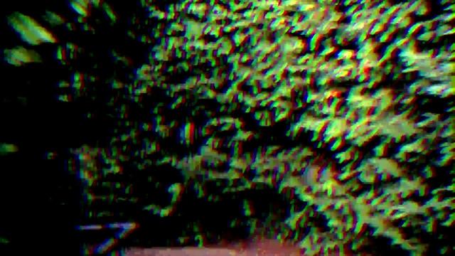 A Walk Through The Hampton Court Maze, Hampton Court Palace