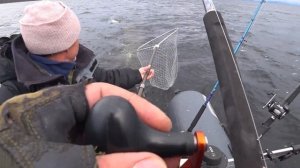 Рыбалка в КАРЕЛИИ на ПЯОЗЕРЕ!!! Красавица КУМЖА!