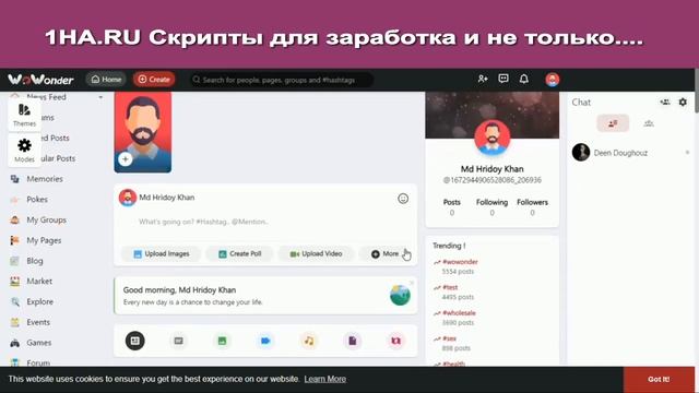 WoWonder v4.1.5 NULLED смотреть онлайн