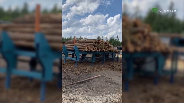 Линия сортировки бревна Cronver LSB - 8 смотреть онлайн