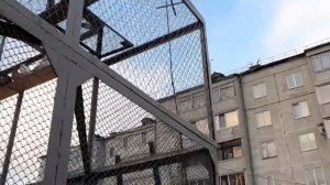 ТАДЖИКСКИЕ ГОЛУБИ ЛАЛАКИ - приучаю к улице.