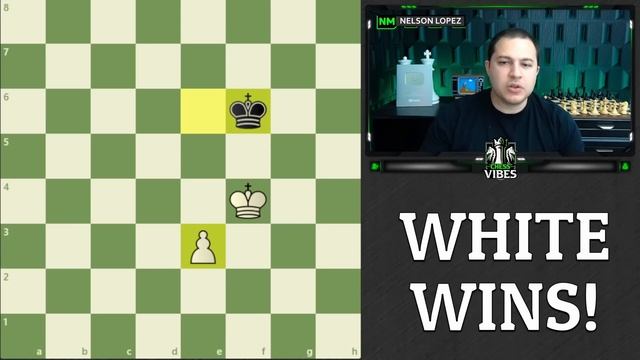 An Instructive Chess Endgame Puzzle смотреть онлайн