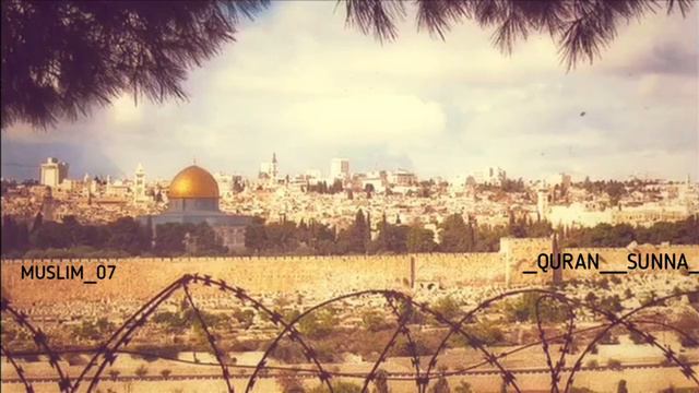 Нашид про Палестин. смотреть онлайн