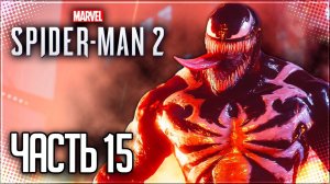 Spider Man 2 / Человек Паук 2 Прохождение PS5 |#15| - ВЕНОМ!