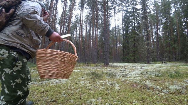 ДРЮНЯ 11 RUS смотреть онлайн