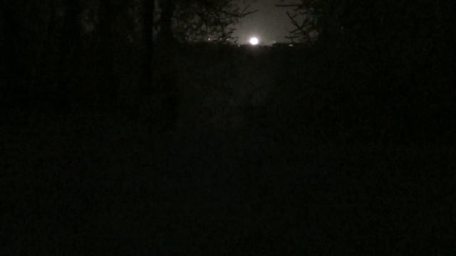 Вечерний Красноярск, о.Татышева и маленький Белый медвежонок смотреть онлайн