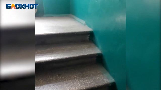 Полное отсутствие дезинсекции и уборки в подъезде показала на видео волгоградка смотреть онлайн