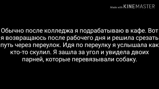 fanfic«Хранители стихий» 1-? смотреть онлайн
