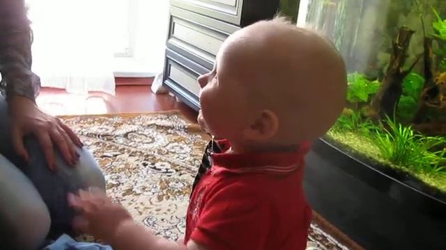 Как надо поить малышей смотреть онлайн