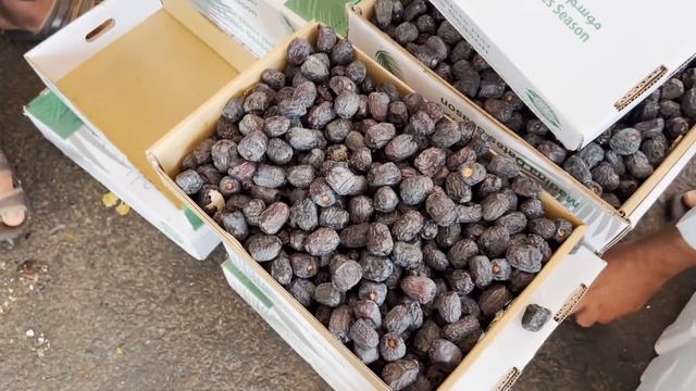 Madina Fresh Khajoor Market today AJWA Wholesale Price Update смотреть онлайн