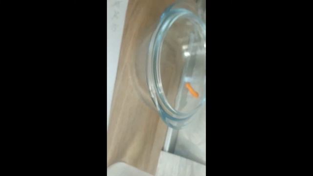 безумные эксперименты ч 4 что будет если положить в воду 100 ложек соли? смотреть онлайн