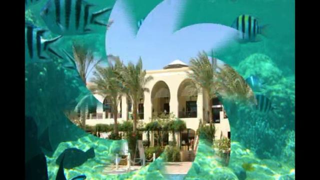 Red Sea. Egypt. Sharm El Sheikh. Autumn 2010 смотреть онлайн