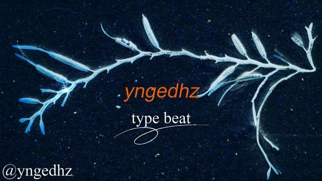 [FREE TYPE BEAT] ГРУСТНЫЙ БИТ БЕЗ АВТОРСКИХ ПРАВ SAD RAP МИНУС 2022 смотреть онлайн
