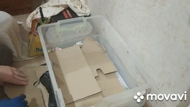 Домашняя вермиферма. Вермиферма в квартире. Первые шаги в разведении червей дома.