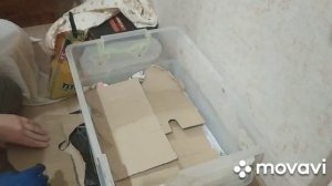 Домашняя вермиферма. Вермиферма в квартире. Первые шаги в разведении червей дома.