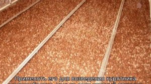 Курятник своими руками на 20 кур (зимний)