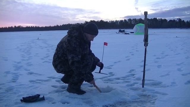 Поставил жерлицы и понеслось! Зимняя рыбалка днём на Щуку, ночью на Налима!Два дня в тайге! смотреть онлайн