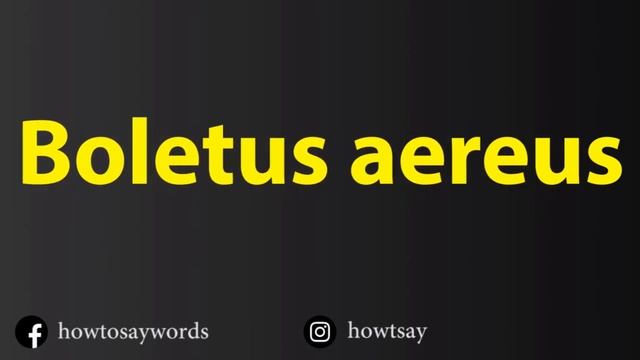 How To Pronounce Boletus aereus смотреть онлайн