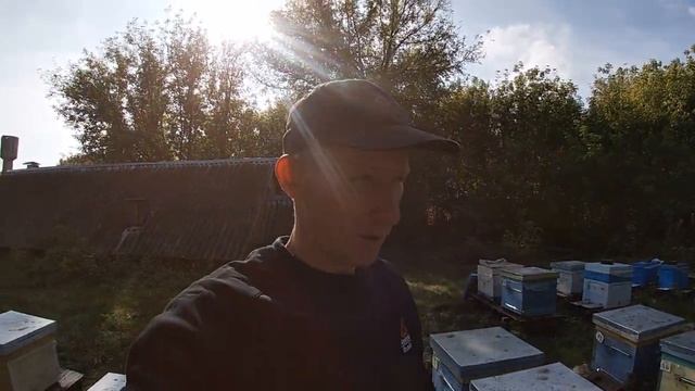Сентябрь. Проверяем состояние пасеки, наводим порядок. смотреть онлайн