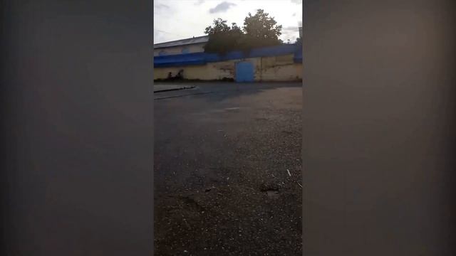 СТАЛИ ДОКЕЙБОТ на 24 ЧАСА ЧЕЛЛЕНДЖ ! смотреть онлайн