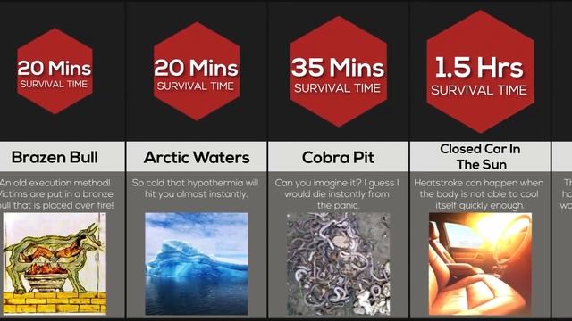 Comparison: How Long Could You Survive Here? смотреть онлайн