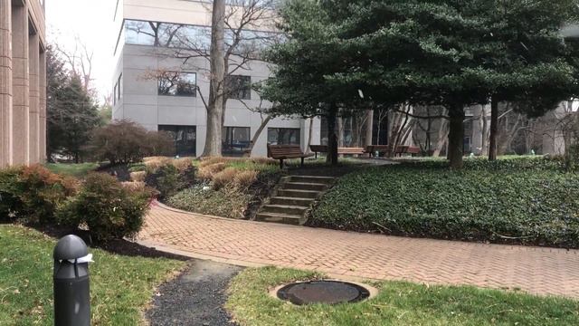 Снежная метель в Вашингтоне,США. 2 дня назад было + 26 градусов тепла,см. фильмы- 25 февраля 2023 № смотреть онлайн