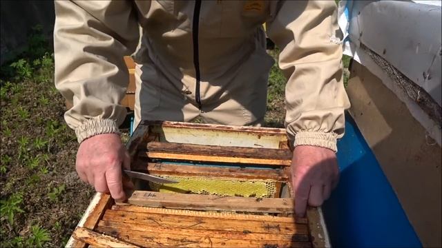 Отводки. Формирование отводков.  Расширение вощиной