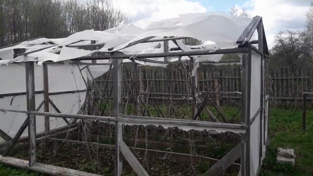 Теплица: Пленка или Спанбонд или ... Чем покрыть? смотреть онлайн